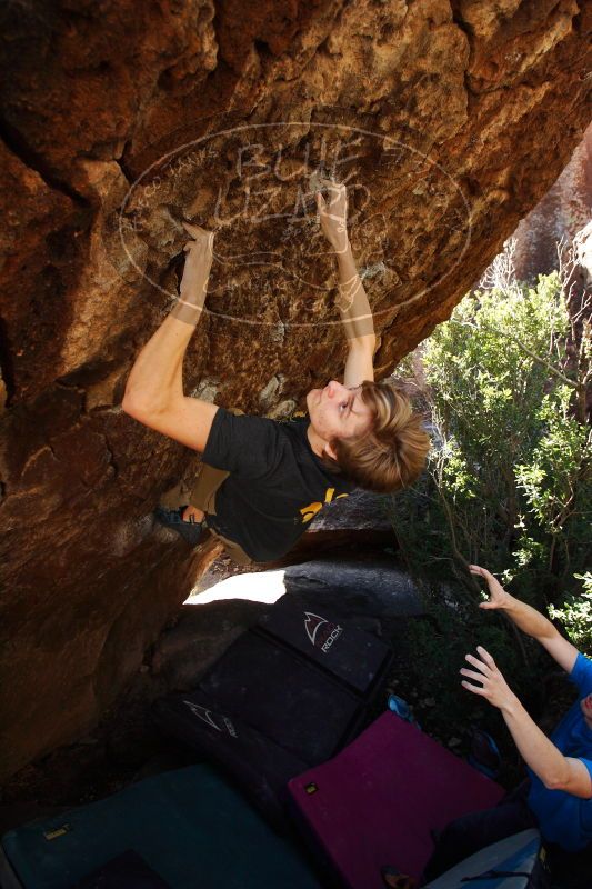 

Filename: SRM_20161223_1255590.jpg
Aperture: f/4.0
Shutter Speed: 1/400
Body: Canon EOS-1D Mark II
Lens: Canon EF 16-35mm f/2.8 L