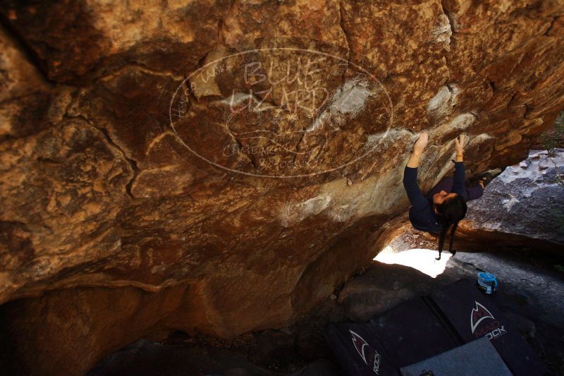 

Filename: SRM_20161223_1300060.jpg
Aperture: f/3.5
Shutter Speed: 1/400
Body: Canon EOS-1D Mark II
Lens: Canon EF 16-35mm f/2.8 L