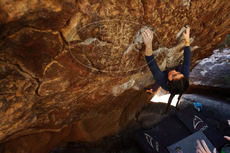 

Filename: SRM_20161223_1300281.jpg
Aperture: f/3.5
Shutter Speed: 1/320
Body: Canon EOS-1D Mark II
Lens: Canon EF 16-35mm f/2.8 L