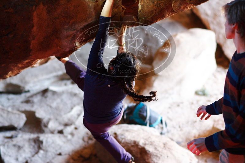 

Filename: SRM_20161223_1335070.jpg
Aperture: f/2.0
Shutter Speed: 1/320
Body: Canon EOS-1D Mark II
Lens: Canon EF 85mm f/1.2 L II