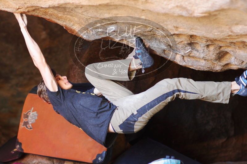 

Filename: SRM_20161223_1348190.jpg
Aperture: f/2.0
Shutter Speed: 1/250
Body: Canon EOS-1D Mark II
Lens: Canon EF 85mm f/1.2 L II