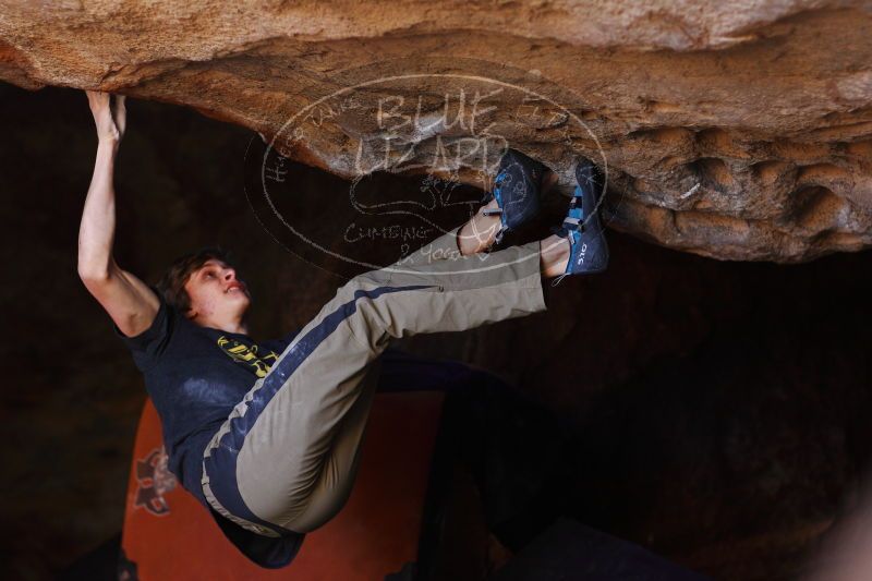 

Filename: SRM_20161223_1401240.jpg
Aperture: f/2.2
Shutter Speed: 1/320
Body: Canon EOS-1D Mark II
Lens: Canon EF 85mm f/1.2 L II