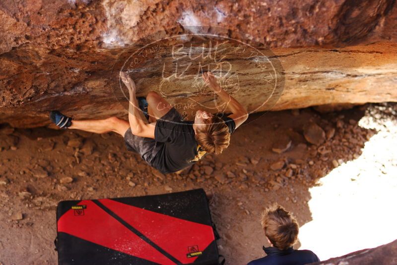 

Filename: SRM_20161223_1525180.jpg
Aperture: f/2.0
Shutter Speed: 1/500
Body: Canon EOS-1D Mark II
Lens: Canon EF 85mm f/1.2 L II