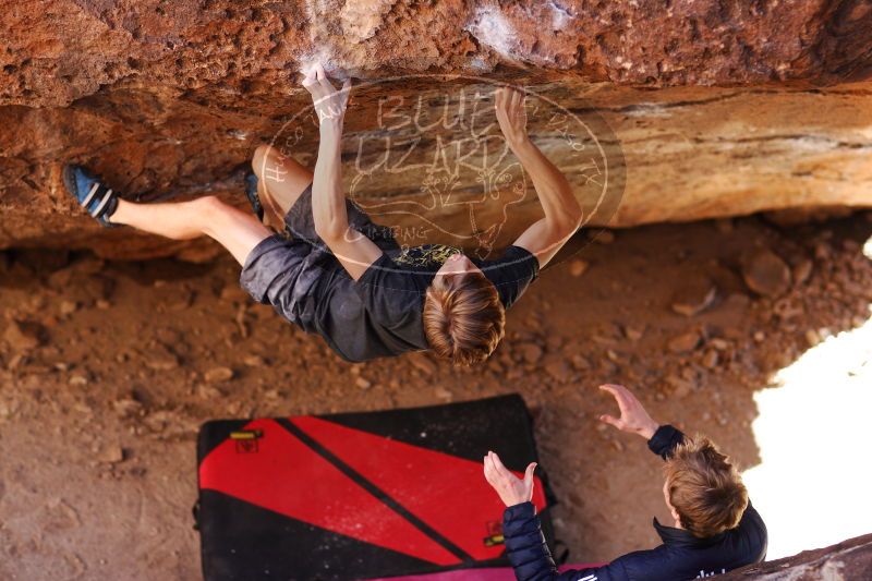 

Filename: SRM_20161223_1525260.jpg
Aperture: f/2.0
Shutter Speed: 1/500
Body: Canon EOS-1D Mark II
Lens: Canon EF 85mm f/1.2 L II