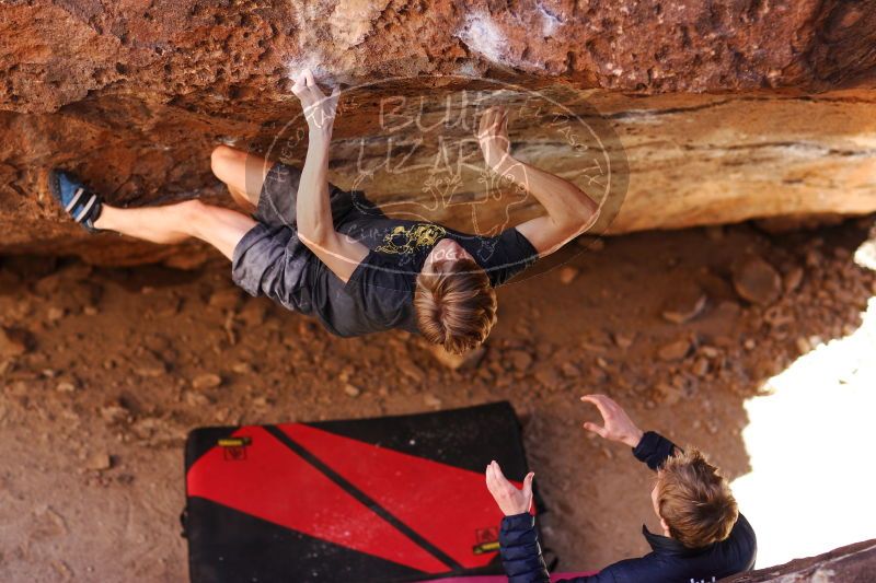 

Filename: SRM_20161223_1525261.jpg
Aperture: f/2.0
Shutter Speed: 1/500
Body: Canon EOS-1D Mark II
Lens: Canon EF 85mm f/1.2 L II