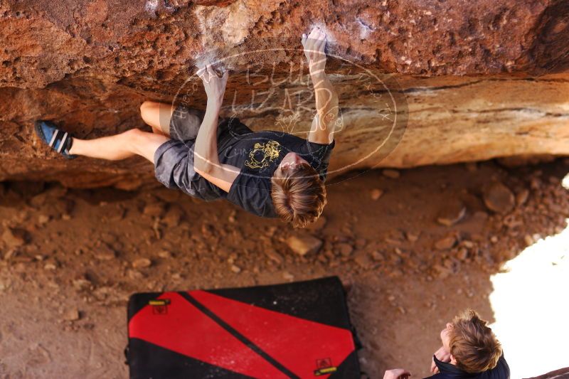 

Filename: SRM_20161223_1525267.jpg
Aperture: f/2.0
Shutter Speed: 1/500
Body: Canon EOS-1D Mark II
Lens: Canon EF 85mm f/1.2 L II