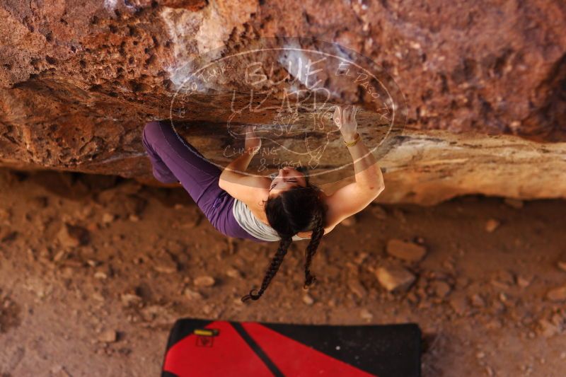 

Filename: SRM_20161223_1532360.jpg
Aperture: f/2.0
Shutter Speed: 1/500
Body: Canon EOS-1D Mark II
Lens: Canon EF 85mm f/1.2 L II