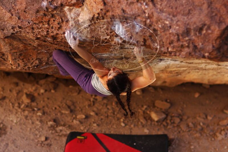 

Filename: SRM_20161223_1532362.jpg
Aperture: f/2.0
Shutter Speed: 1/500
Body: Canon EOS-1D Mark II
Lens: Canon EF 85mm f/1.2 L II