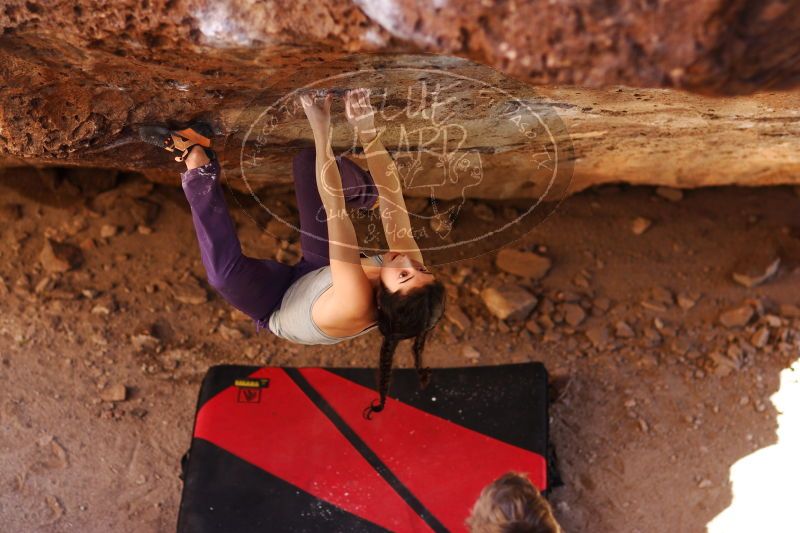 

Filename: SRM_20161223_1534360.jpg
Aperture: f/2.0
Shutter Speed: 1/500
Body: Canon EOS-1D Mark II
Lens: Canon EF 85mm f/1.2 L II