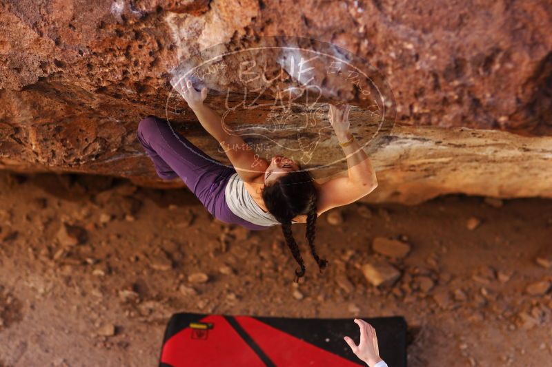 

Filename: SRM_20161223_1534410.jpg
Aperture: f/2.0
Shutter Speed: 1/500
Body: Canon EOS-1D Mark II
Lens: Canon EF 85mm f/1.2 L II