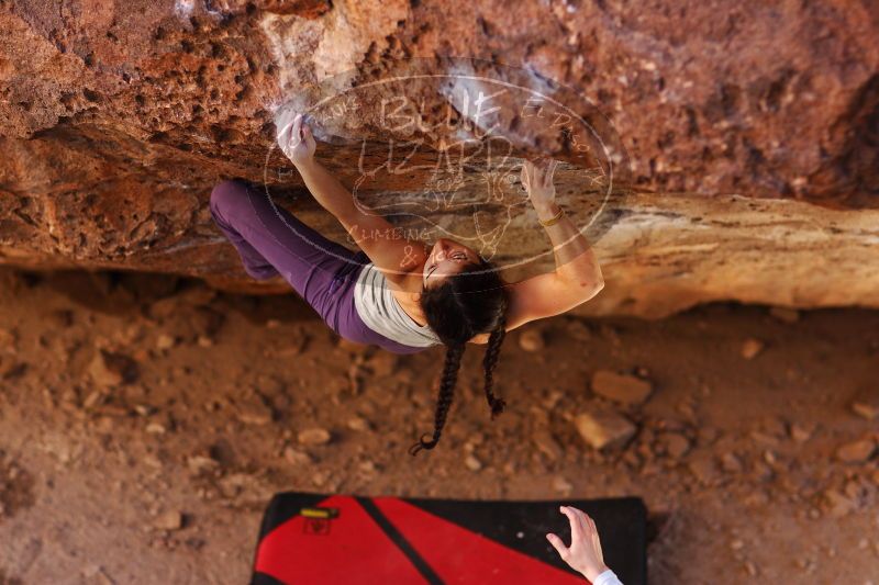 

Filename: SRM_20161223_1534412.jpg
Aperture: f/2.0
Shutter Speed: 1/500
Body: Canon EOS-1D Mark II
Lens: Canon EF 85mm f/1.2 L II