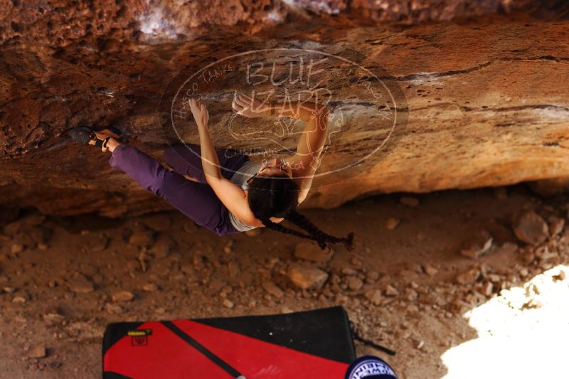 

Filename: SRM_20161223_1554451.jpg
Aperture: f/2.0
Shutter Speed: 1/400
Body: Canon EOS-1D Mark II
Lens: Canon EF 85mm f/1.2 L II
