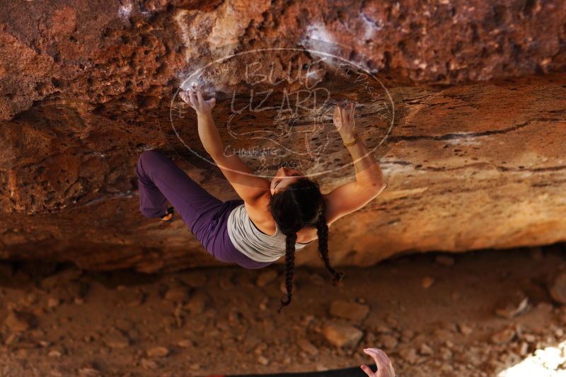 

Filename: SRM_20161223_1554512.jpg
Aperture: f/2.0
Shutter Speed: 1/400
Body: Canon EOS-1D Mark II
Lens: Canon EF 85mm f/1.2 L II