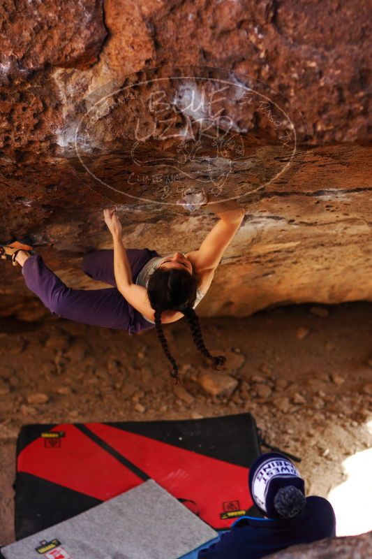 

Filename: SRM_20161223_1556283.jpg
Aperture: f/2.0
Shutter Speed: 1/400
Body: Canon EOS-1D Mark II
Lens: Canon EF 85mm f/1.2 L II