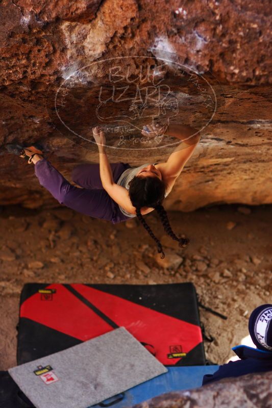 

Filename: SRM_20161223_1559381.jpg
Aperture: f/2.0
Shutter Speed: 1/400
Body: Canon EOS-1D Mark II
Lens: Canon EF 85mm f/1.2 L II