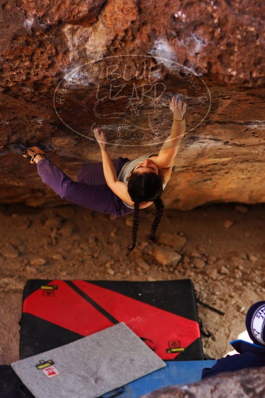 

Filename: SRM_20161223_1559382.jpg
Aperture: f/2.0
Shutter Speed: 1/400
Body: Canon EOS-1D Mark II
Lens: Canon EF 85mm f/1.2 L II