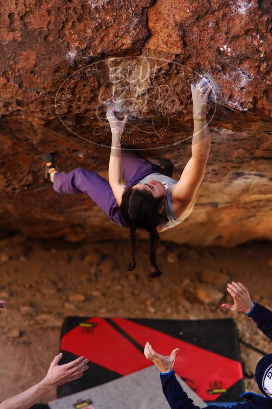 

Filename: SRM_20161223_1559493.jpg
Aperture: f/2.0
Shutter Speed: 1/400
Body: Canon EOS-1D Mark II
Lens: Canon EF 85mm f/1.2 L II