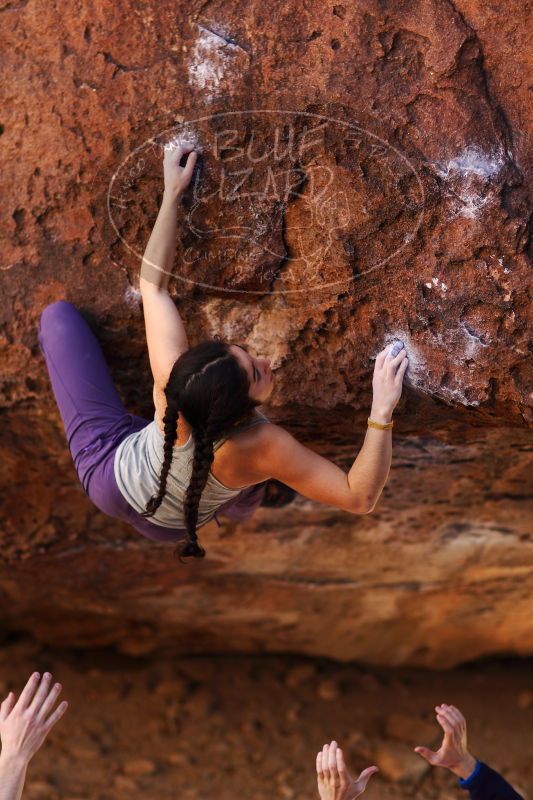 

Filename: SRM_20161223_1600021.jpg
Aperture: f/2.0
Shutter Speed: 1/400
Body: Canon EOS-1D Mark II
Lens: Canon EF 85mm f/1.2 L II