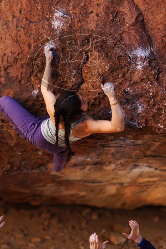 

Filename: SRM_20161223_1600022.jpg
Aperture: f/2.0
Shutter Speed: 1/400
Body: Canon EOS-1D Mark II
Lens: Canon EF 85mm f/1.2 L II