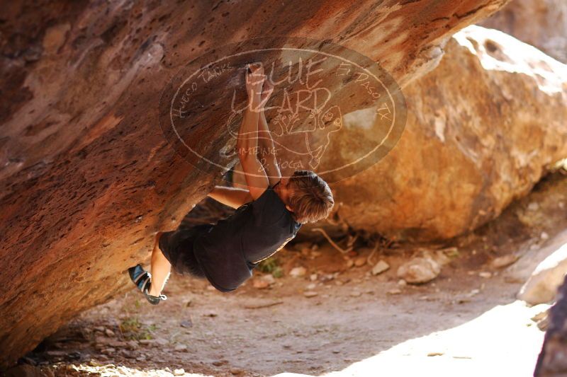 

Filename: SRM_20161223_1604450.jpg
Aperture: f/2.0
Shutter Speed: 1/400
Body: Canon EOS-1D Mark II
Lens: Canon EF 85mm f/1.2 L II