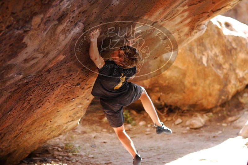 

Filename: SRM_20161223_1604472.jpg
Aperture: f/2.0
Shutter Speed: 1/400
Body: Canon EOS-1D Mark II
Lens: Canon EF 85mm f/1.2 L II