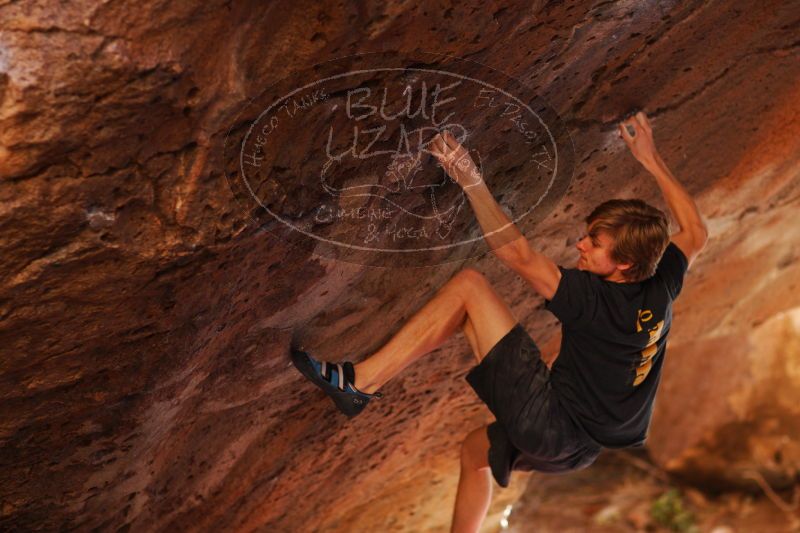 

Filename: SRM_20161223_1605202.jpg
Aperture: f/2.0
Shutter Speed: 1/400
Body: Canon EOS-1D Mark II
Lens: Canon EF 85mm f/1.2 L II