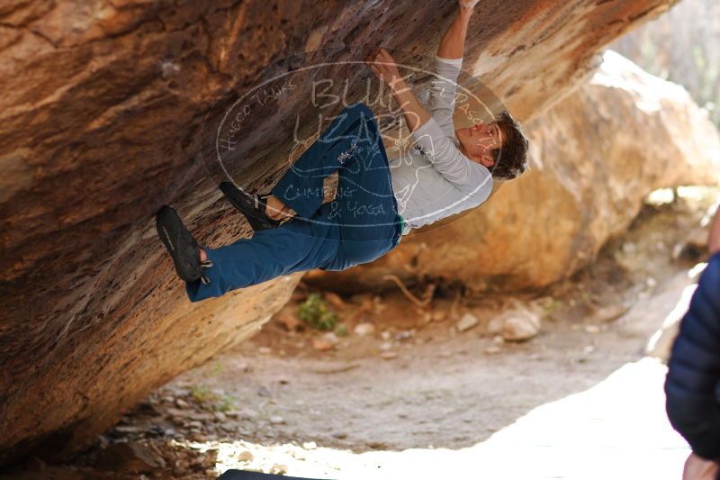 

Filename: SRM_20161223_1607190.jpg
Aperture: f/2.0
Shutter Speed: 1/400
Body: Canon EOS-1D Mark II
Lens: Canon EF 85mm f/1.2 L II