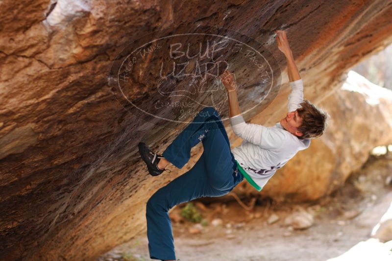 

Filename: SRM_20161223_1607221.jpg
Aperture: f/2.0
Shutter Speed: 1/400
Body: Canon EOS-1D Mark II
Lens: Canon EF 85mm f/1.2 L II