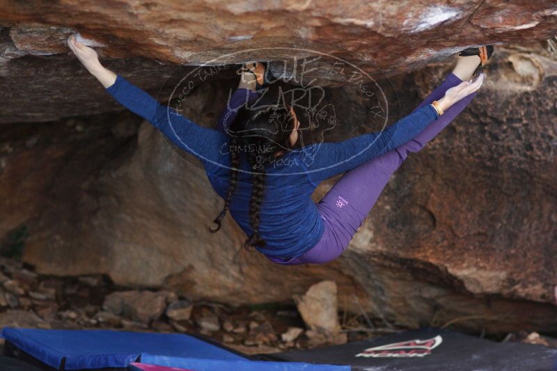 

Filename: SRM_20161223_1754223.jpg
Aperture: f/2.0
Shutter Speed: 1/800
Body: Canon EOS-1D Mark II
Lens: Canon EF 85mm f/1.2 L II