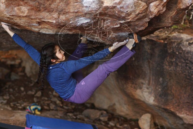 

Filename: SRM_20161223_1754320.jpg
Aperture: f/2.0
Shutter Speed: 1/640
Body: Canon EOS-1D Mark II
Lens: Canon EF 85mm f/1.2 L II