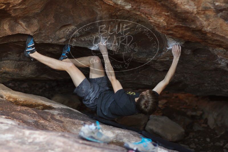 

Filename: SRM_20161223_1804330.jpg
Aperture: f/2.0
Shutter Speed: 1/640
Body: Canon EOS-1D Mark II
Lens: Canon EF 85mm f/1.2 L II