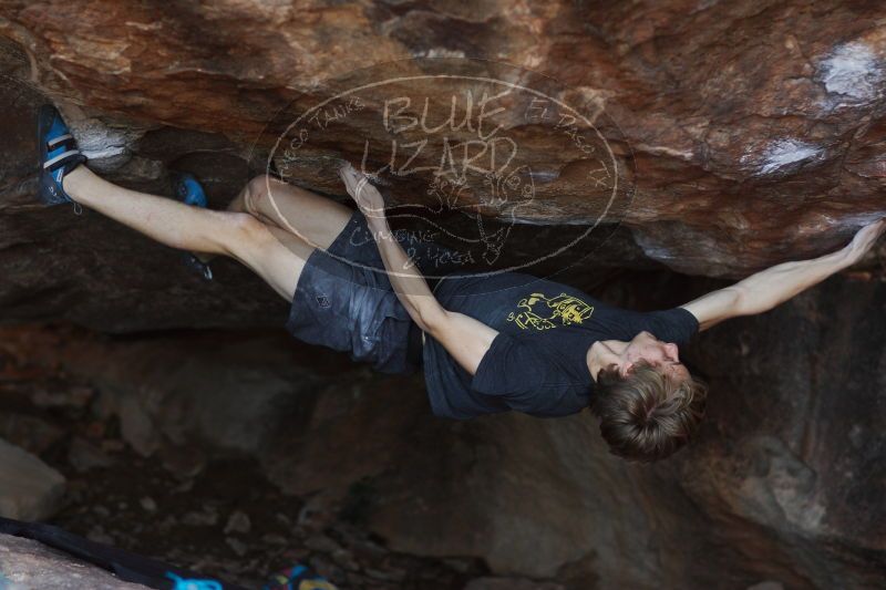 

Filename: SRM_20161223_1804431.jpg
Aperture: f/2.0
Shutter Speed: 1/640
Body: Canon EOS-1D Mark II
Lens: Canon EF 85mm f/1.2 L II