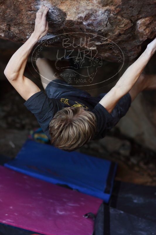 

Filename: SRM_20161223_1805080.jpg
Aperture: f/2.0
Shutter Speed: 1/640
Body: Canon EOS-1D Mark II
Lens: Canon EF 85mm f/1.2 L II