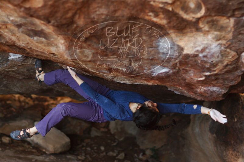 

Filename: SRM_20161223_1810060.jpg
Aperture: f/2.0
Shutter Speed: 1/500
Body: Canon EOS-1D Mark II
Lens: Canon EF 85mm f/1.2 L II