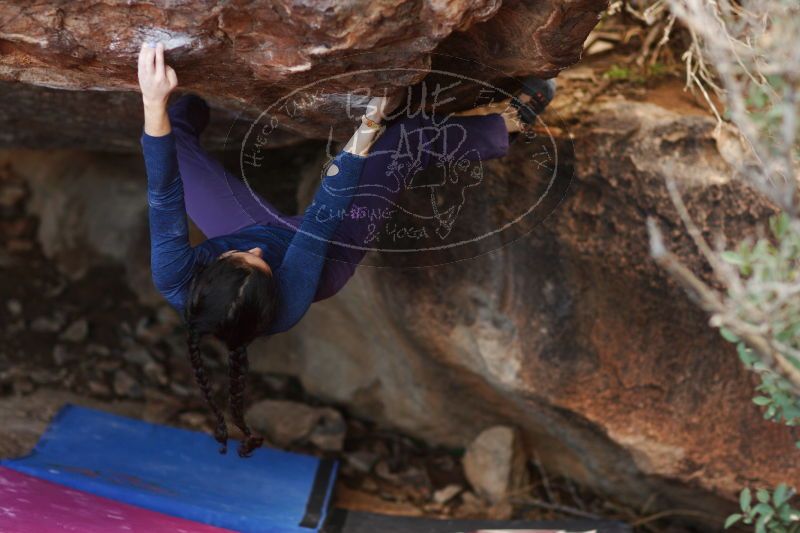 

Filename: SRM_20161223_1810354.jpg
Aperture: f/2.0
Shutter Speed: 1/500
Body: Canon EOS-1D Mark II
Lens: Canon EF 85mm f/1.2 L II