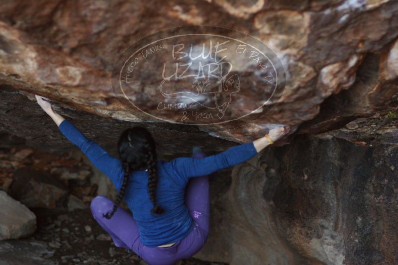 

Filename: SRM_20161223_1818540.jpg
Aperture: f/2.0
Shutter Speed: 1/400
Body: Canon EOS-1D Mark II
Lens: Canon EF 85mm f/1.2 L II