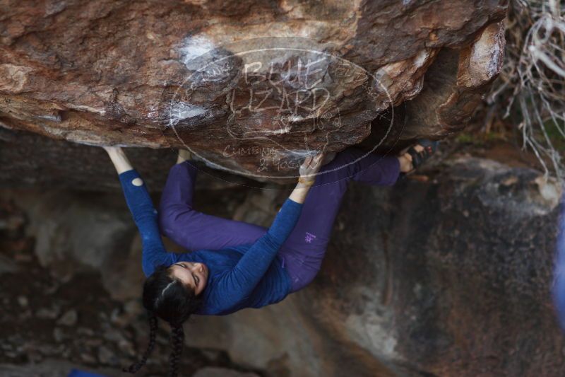 

Filename: SRM_20161223_1819110.jpg
Aperture: f/2.0
Shutter Speed: 1/400
Body: Canon EOS-1D Mark II
Lens: Canon EF 85mm f/1.2 L II