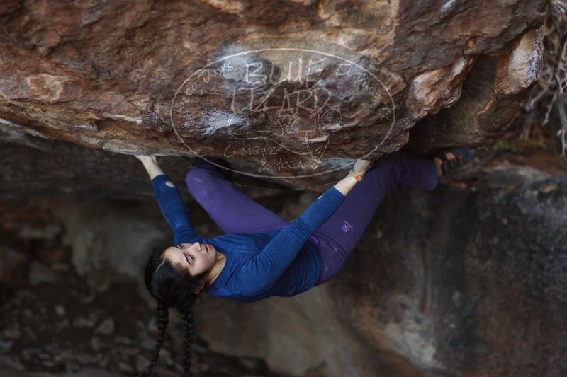 

Filename: SRM_20161223_1819180.jpg
Aperture: f/2.0
Shutter Speed: 1/400
Body: Canon EOS-1D Mark II
Lens: Canon EF 85mm f/1.2 L II