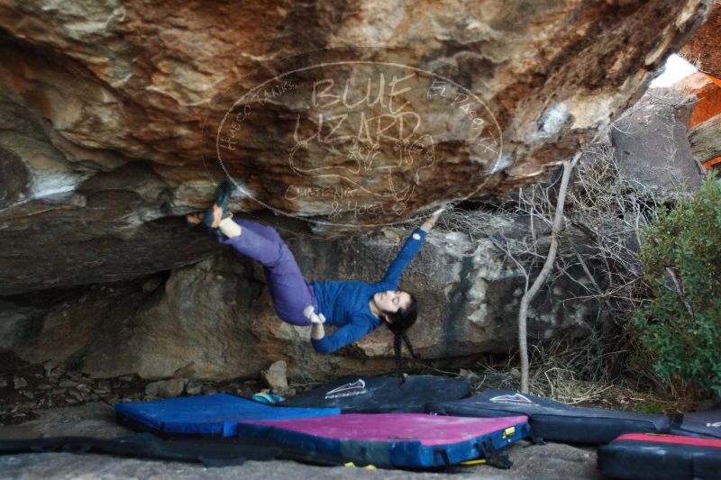 

Filename: SRM_20161223_1834261.jpg
Aperture: f/2.8
Shutter Speed: 1/250
Body: Canon EOS-1D Mark II
Lens: Canon EF 16-35mm f/2.8 L