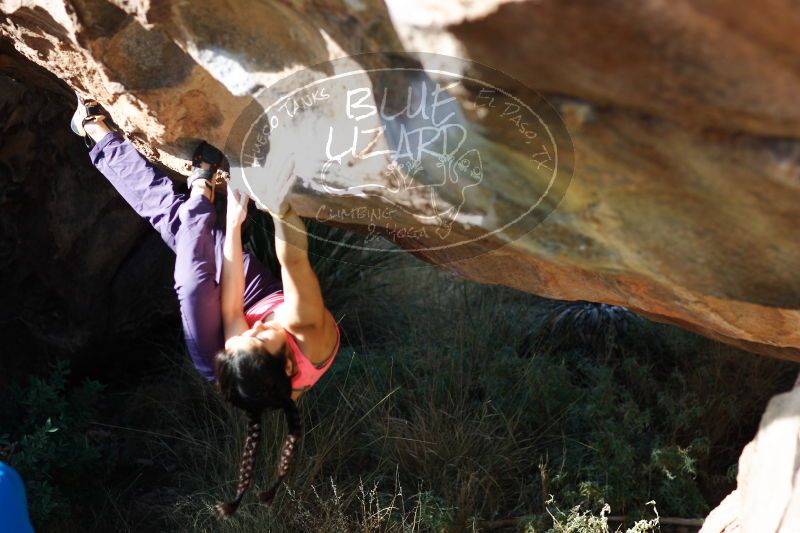 

Filename: SRM_20161226_1218160.jpg
Aperture: f/2.8
Shutter Speed: 1/500
Body: Canon EOS-1D Mark II
Lens: Canon EF 85mm f/1.2 L II