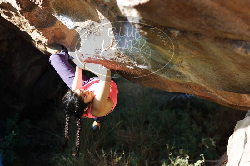 

Filename: SRM_20161226_1218242.jpg
Aperture: f/2.8
Shutter Speed: 1/640
Body: Canon EOS-1D Mark II
Lens: Canon EF 85mm f/1.2 L II