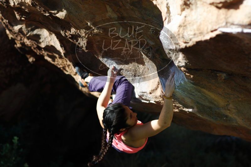 

Filename: SRM_20161226_1218351.jpg
Aperture: f/2.8
Shutter Speed: 1/1250
Body: Canon EOS-1D Mark II
Lens: Canon EF 85mm f/1.2 L II