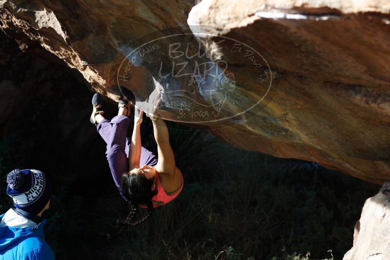 

Filename: SRM_20161226_1239160.jpg
Aperture: f/4.0
Shutter Speed: 1/500
Body: Canon EOS-1D Mark II
Lens: Canon EF 85mm f/1.2 L II