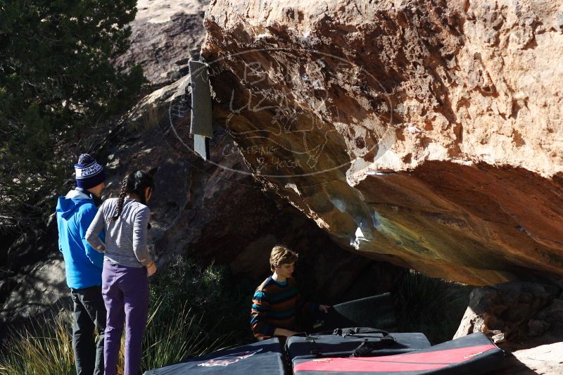 

Filename: SRM_20161226_1302080.jpg
Aperture: f/4.0
Shutter Speed: 1/640
Body: Canon EOS-1D Mark II
Lens: Canon EF 85mm f/1.2 L II