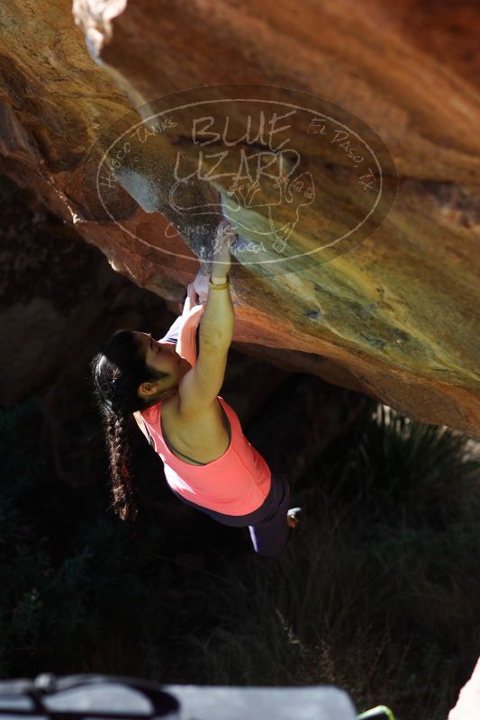 

Filename: SRM_20161226_1334122.jpg
Aperture: f/2.8
Shutter Speed: 1/1000
Body: Canon EOS-1D Mark II
Lens: Canon EF 85mm f/1.2 L II