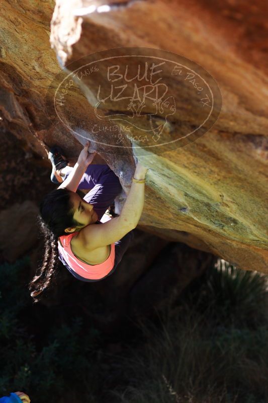 

Filename: SRM_20161226_1334200.jpg
Aperture: f/2.8
Shutter Speed: 1/800
Body: Canon EOS-1D Mark II
Lens: Canon EF 85mm f/1.2 L II