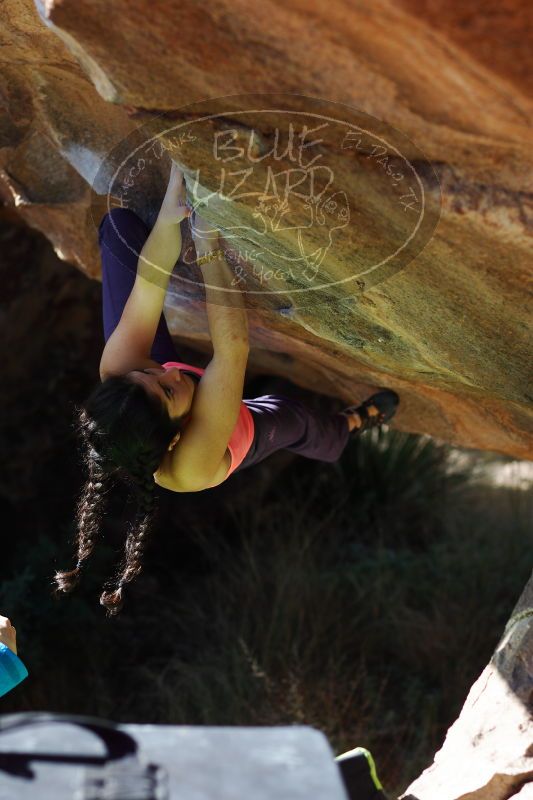 

Filename: SRM_20161226_1334281.jpg
Aperture: f/2.8
Shutter Speed: 1/800
Body: Canon EOS-1D Mark II
Lens: Canon EF 85mm f/1.2 L II