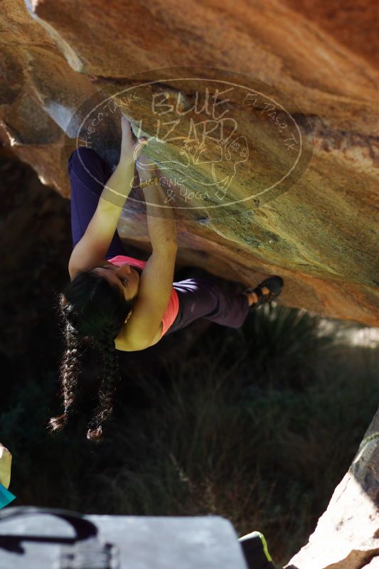 

Filename: SRM_20161226_1334282.jpg
Aperture: f/2.8
Shutter Speed: 1/800
Body: Canon EOS-1D Mark II
Lens: Canon EF 85mm f/1.2 L II