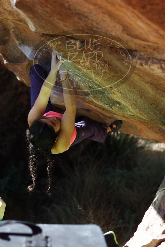 

Filename: SRM_20161226_1334290.jpg
Aperture: f/2.8
Shutter Speed: 1/800
Body: Canon EOS-1D Mark II
Lens: Canon EF 85mm f/1.2 L II