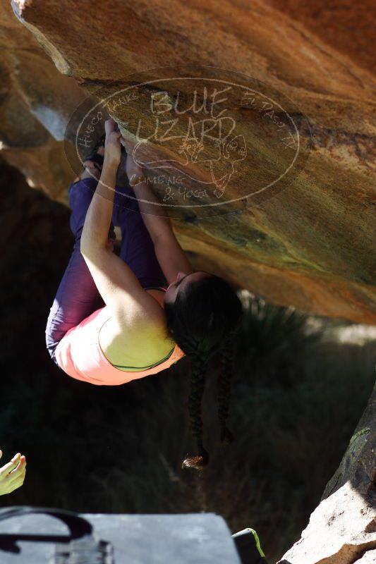 

Filename: SRM_20161226_1334350.jpg
Aperture: f/2.8
Shutter Speed: 1/1000
Body: Canon EOS-1D Mark II
Lens: Canon EF 85mm f/1.2 L II